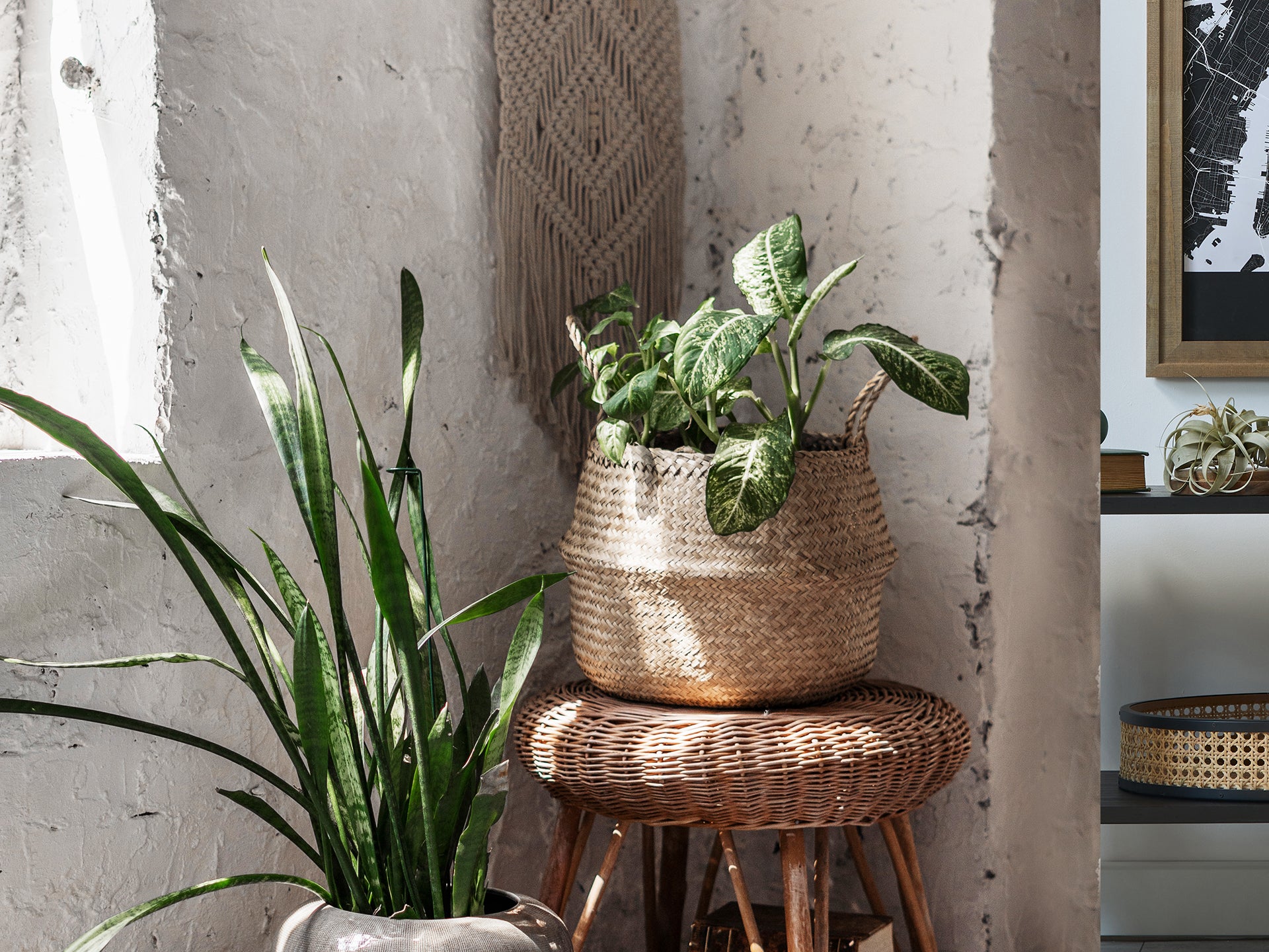 Seagrass Woven Basket Belly Basket - Set of 2 - S/M